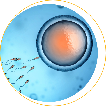 Wem kann eine IVF mit gespendeten Embryonen helfen?