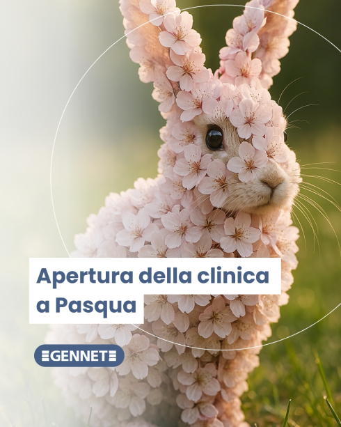 Funzionamento della clinica GENNET nel periodo di Pasqua